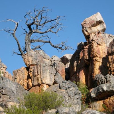 Guided Climbing South Africa_Tafelberg_3